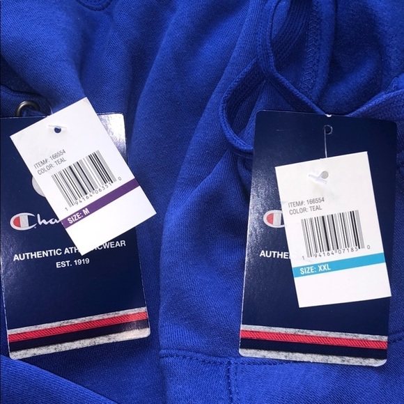 LAST ONE!! Champion Blue Pullover Hoodie - Picture 5 of 11